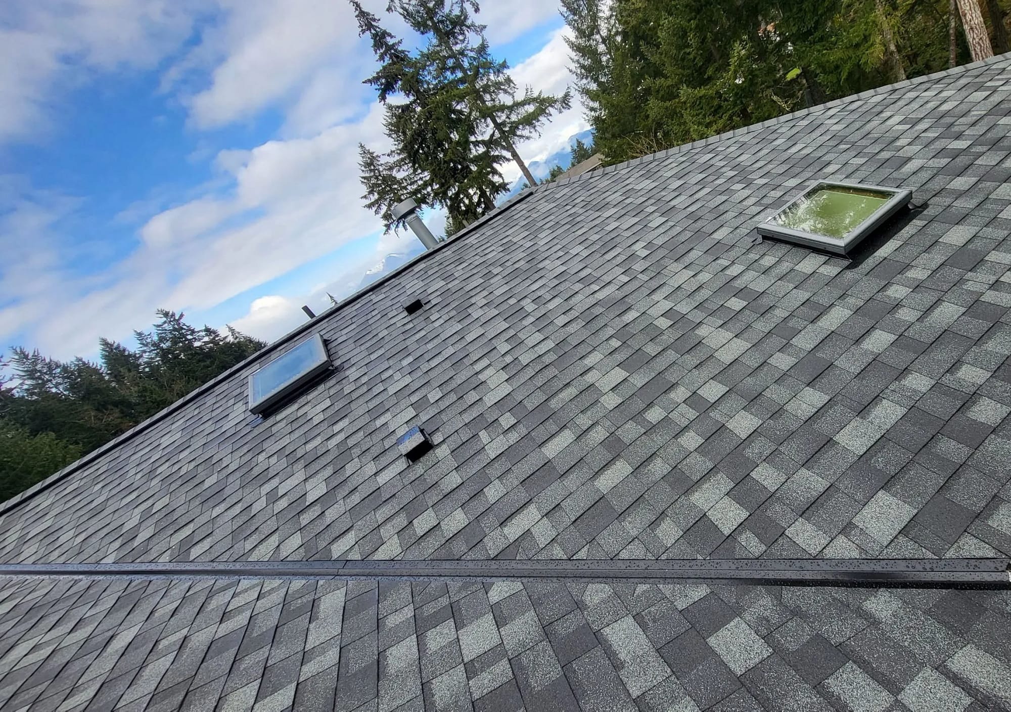 two new skylights on an asphalt shingle roof with pine trees in the background