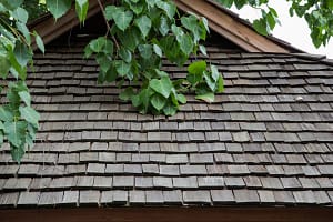 Closeup of aged cedar shake roof in need of leak repair by the Shake Guys