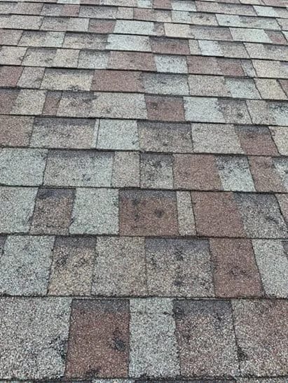shingle roof with hail damage after storm