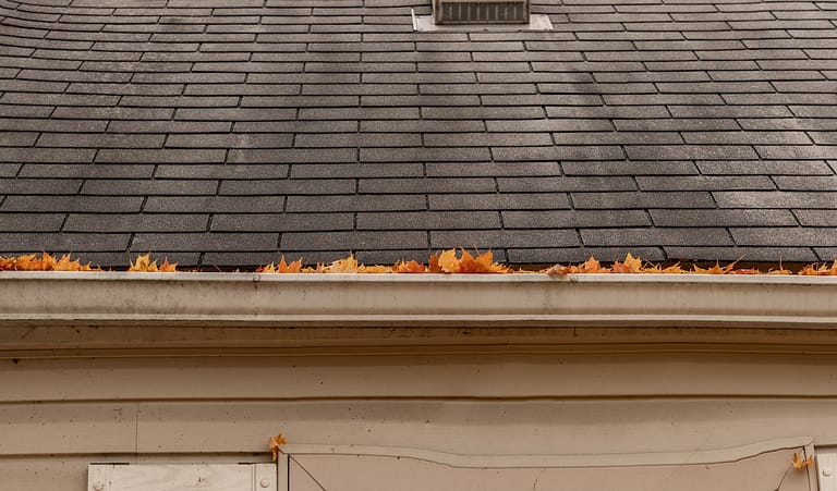 gutters are full of leaves and must be cleaned