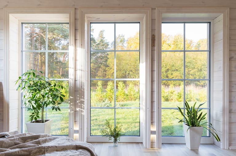 Bright interior of the room in wooden house with a large window overlooking the autumn courtyard. Golden autumn landscape in white window. Home and garden, fall concept. Plant Sansevieria trifasciata