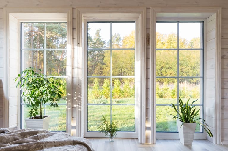 bright room with big white windows and plants front