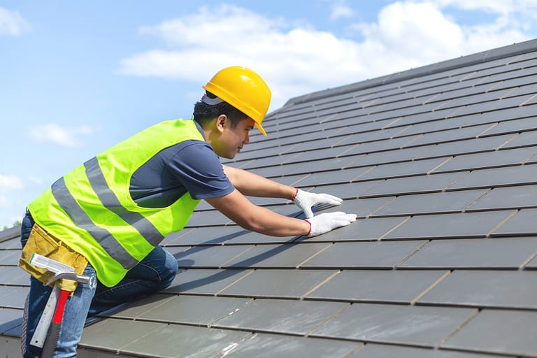 Roof Maintenance