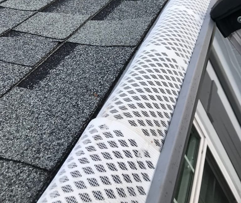 Cleaning gutter in autumn and put leave filter to protect gutter from leaves