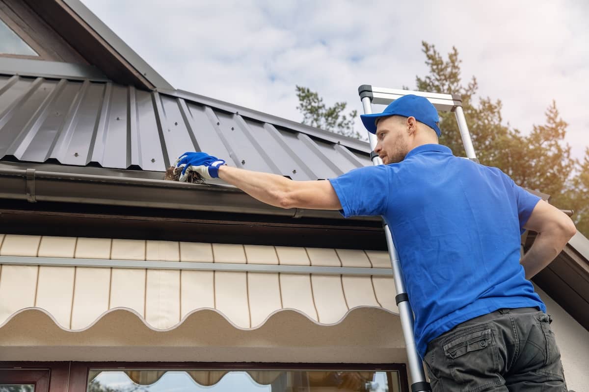 A man in a blue shirt and cap stands on a ladder, cleaning leaves from a house’s gutter