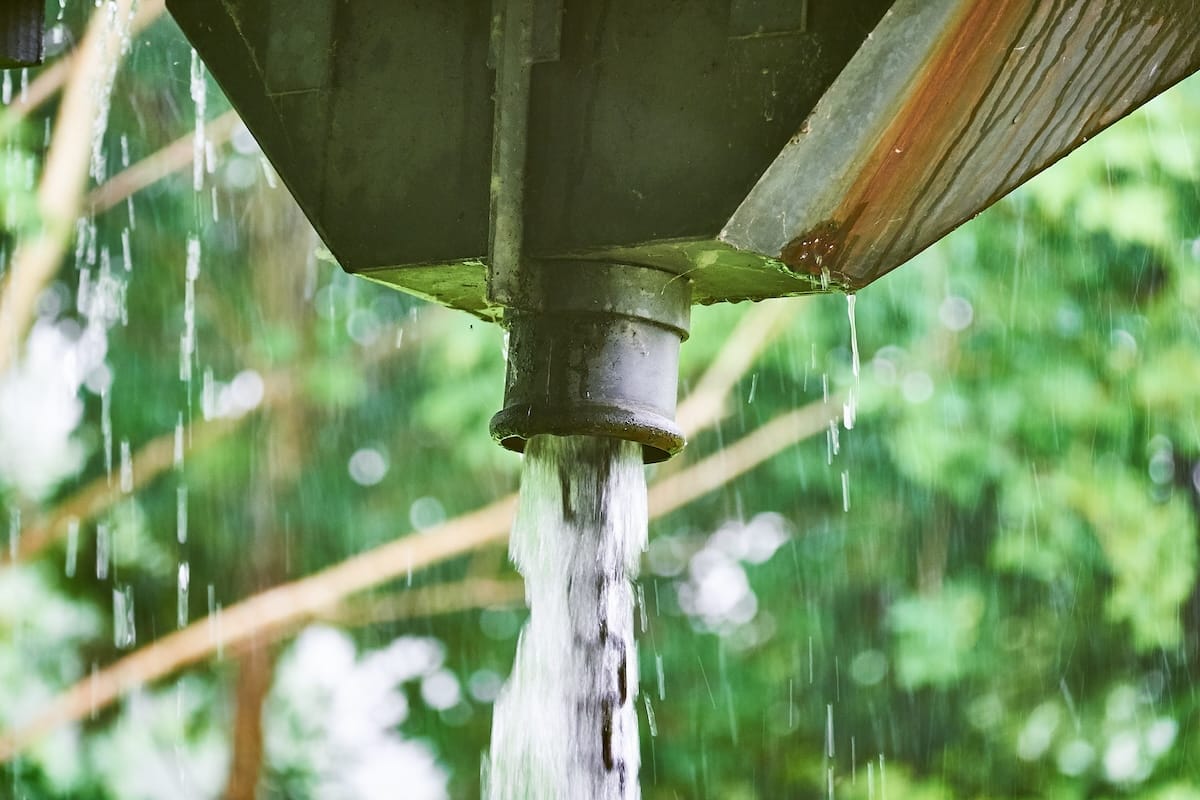 What Is Roof Scupper? (Types, Benefits & More)