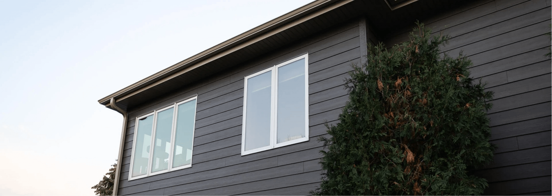 A modern home exterior features dark gray siding and large rectangular windows. A tall, leafy tree stands next to the building, with a clear sky in the background.