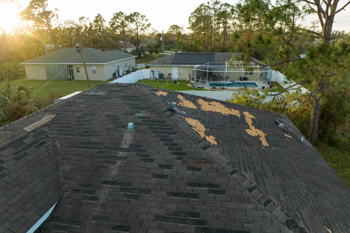 9 Types Of Roof Damage For Homeowners To Know