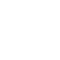 phone call icon - white