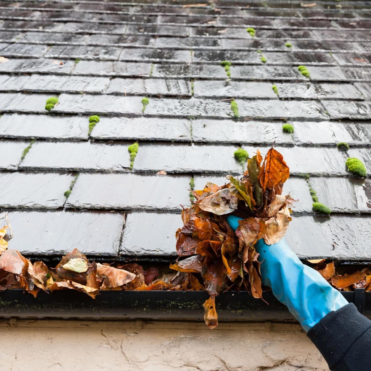 It’s Time for Your Sugar Land Roof Inspection! Amstill Roofing Company